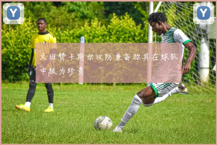 文班赞卡斯尔攻防兼备称其在球队中极为珍贵